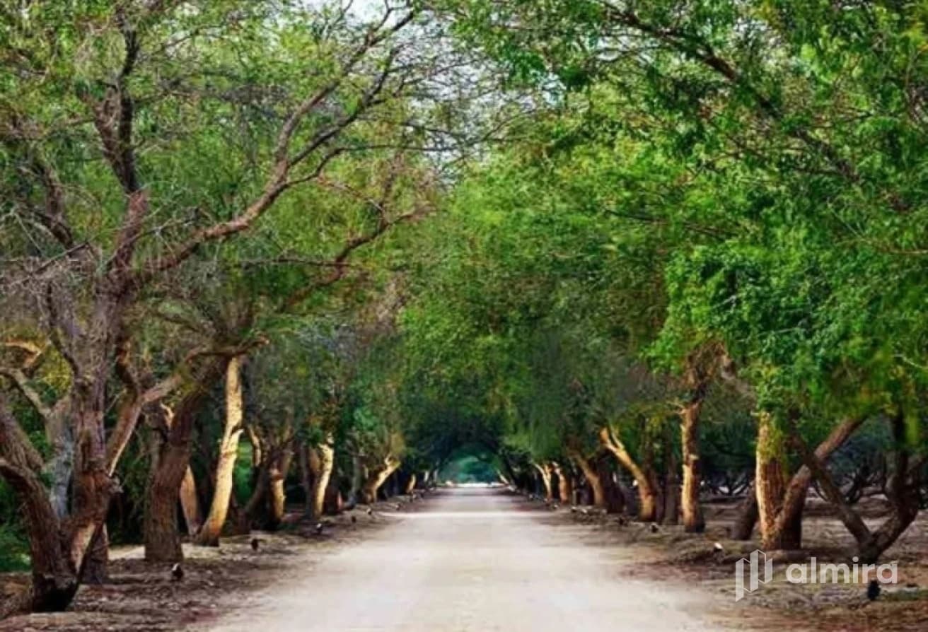Huge Plot | Near The Park | Invest Now!