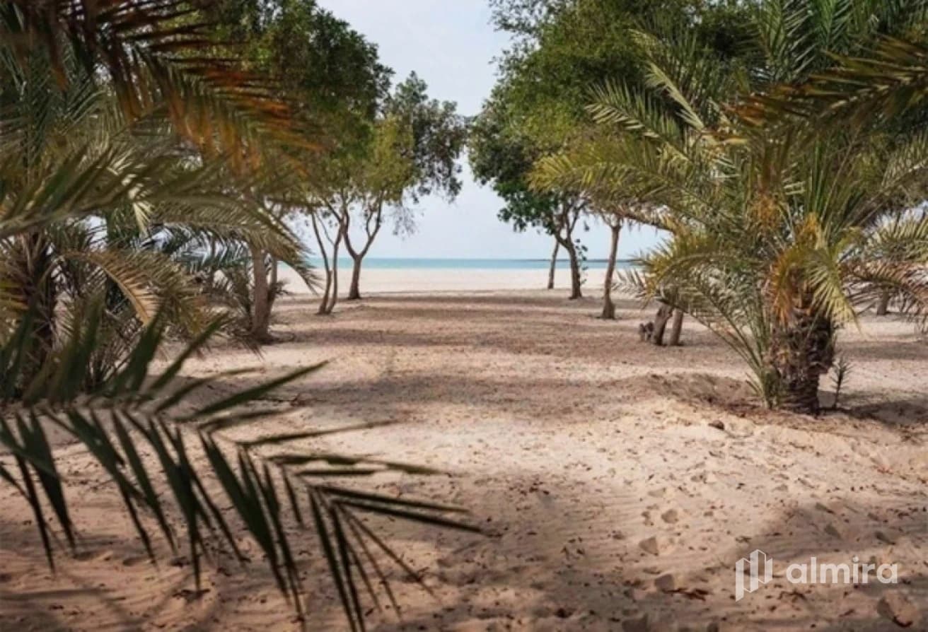 Huge Plot | Near The Park | Invest Now!
